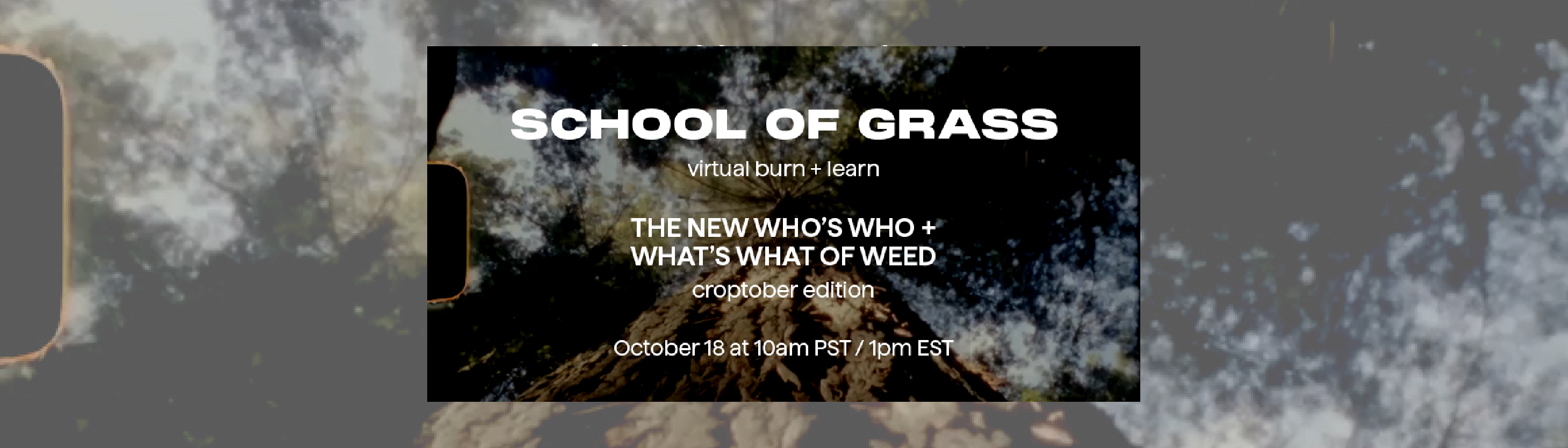 hero-graphic-Exploring the World of Cannabis: School of Grass Learn & Burn Event Recap