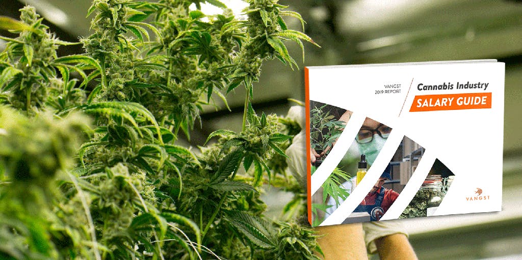 hero-graphic-The 2019 Cannabis Industry Salary Guide is Here!