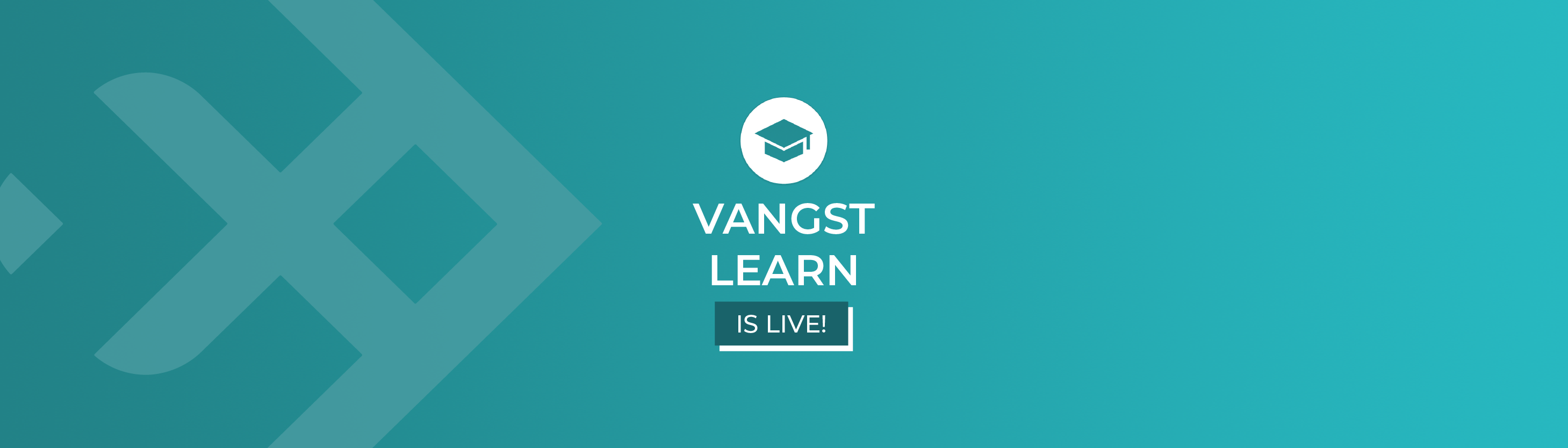 Vangst Learn: Empowering Job Seekers & Businesses Alike
